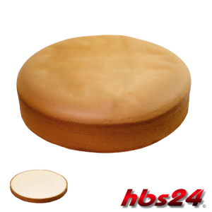 Wiener Biskuitboden Backmischung 500 g - hbs24